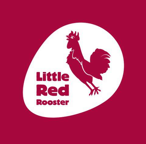 Little Red Rooster Creative photo